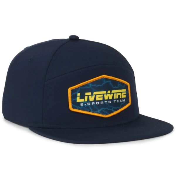 Split Panel Performance Snapback Thumbnail